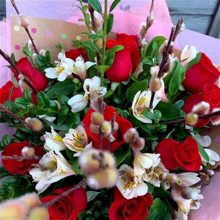 Christmas | Christmas Roses