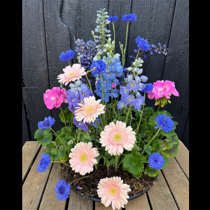 Arrangements | Mother's Day | Summer Awakening