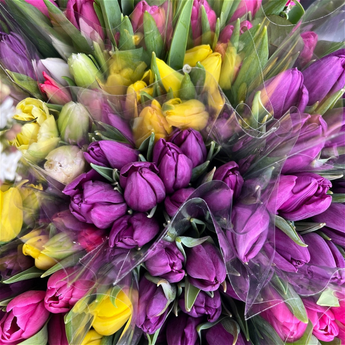 Upsell gifts | Locally Grown Tulips