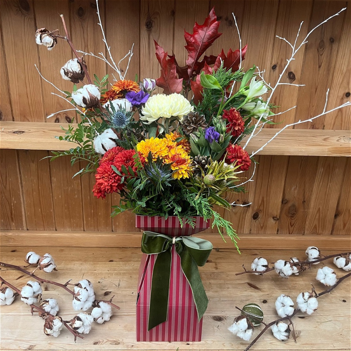 Christmas | Winter Wonderland