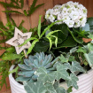 Christmas | Modern Neutrals Indoor Ceramic Planter