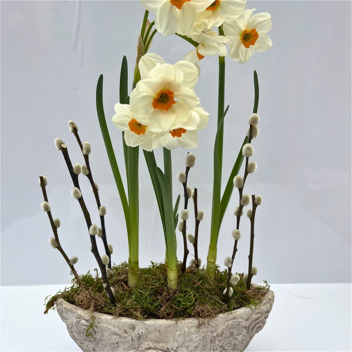 Arrangements | Indoor Ceramic Planter