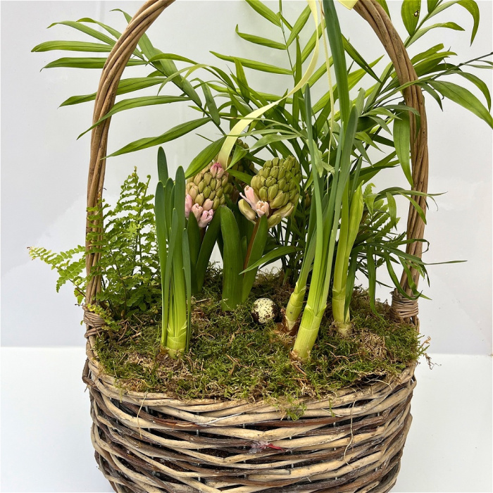 Arrangements | Mother's Day | Rattan Indoor Hooped Planter