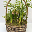 Arrangements | Mother's Day | Rattan Indoor Hooped Planter