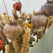 Hand Tieds and Bouquets | Dried Flower Bouquet
