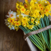 Arrangements | Hand Tieds and Bouquets | Mother's Day | Upsell gifts | Gift Wrapped British Daffodils