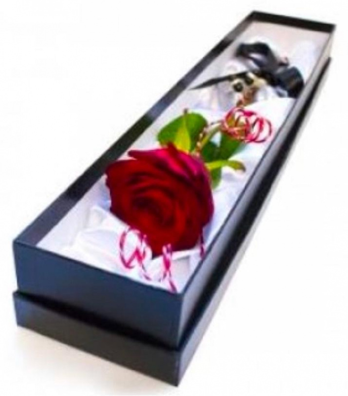 Valentines | single red rose in deluxe black box.