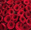 Bouquets | Valentines | 50 best deluxe red roses