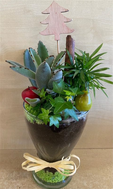 Christmas | Mother's Day | Plants | Planted glass bowl