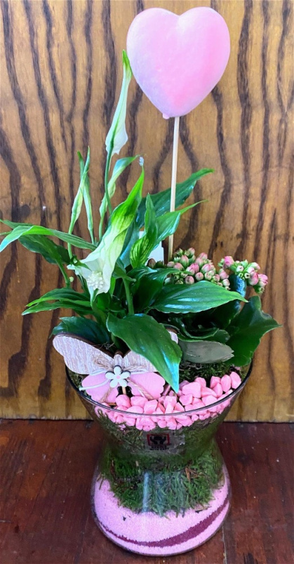 Christmas | Mother's Day | Plants | Planted glass bowl
