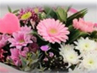 Mother's Day | Mother’s Day Special !