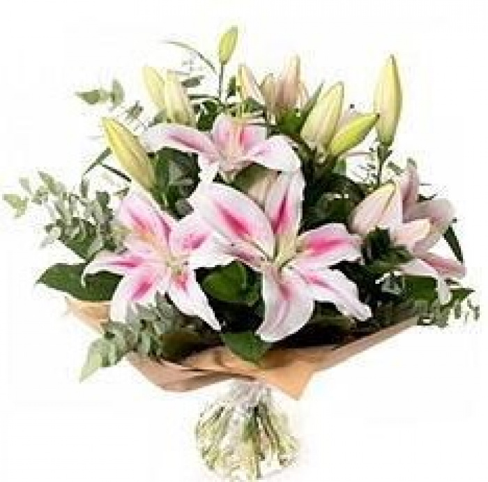 Bouquets | Christmas | Mother's Day | Valentines | Star gaze