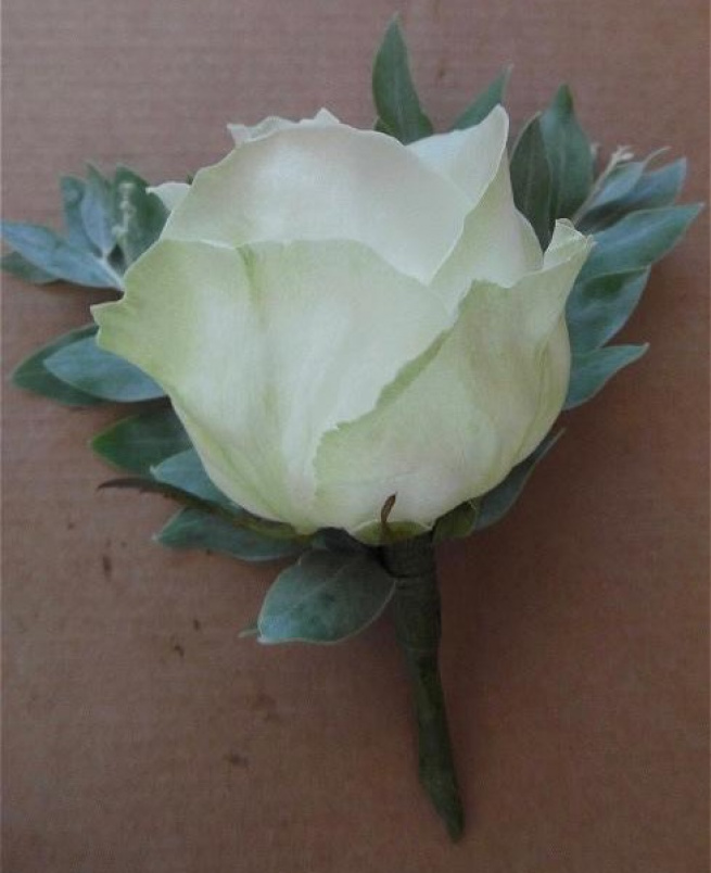 Weddings | Ivory rose and foliage buttonhole