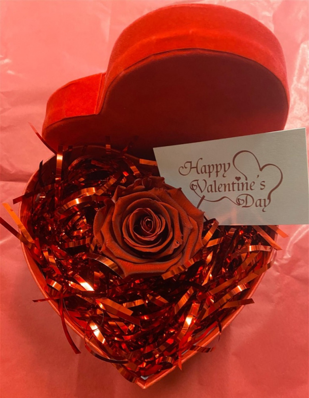 Valentines | Preserved forever red rose