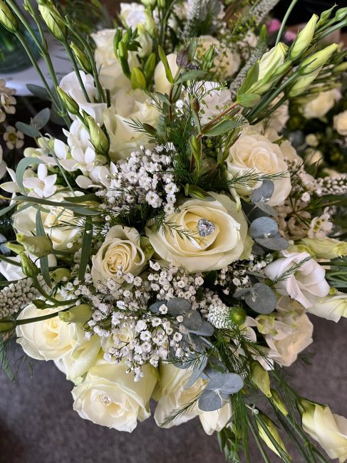 Buds and Blooms | Isle of Wight | Home