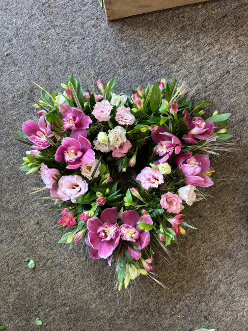 Buds and Blooms | Isle of Wight | Home