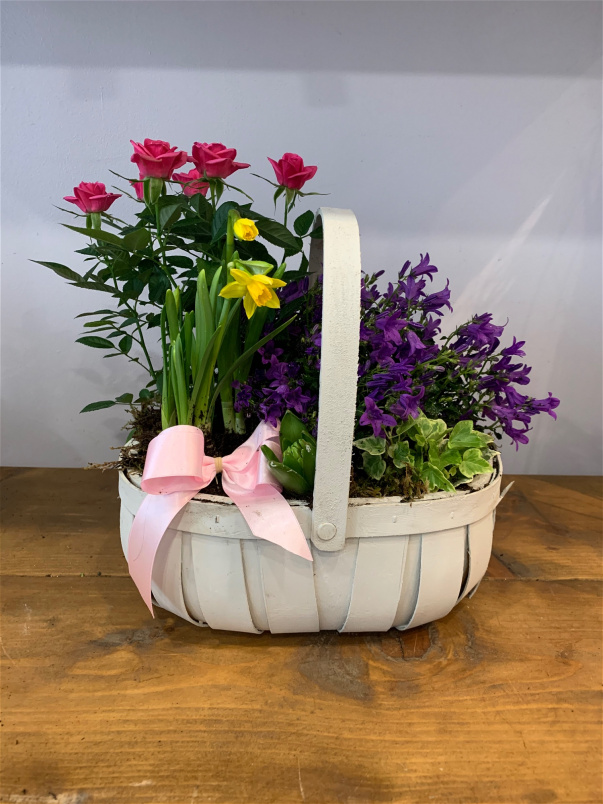 Mother's Day | Mum’s Garden flowers