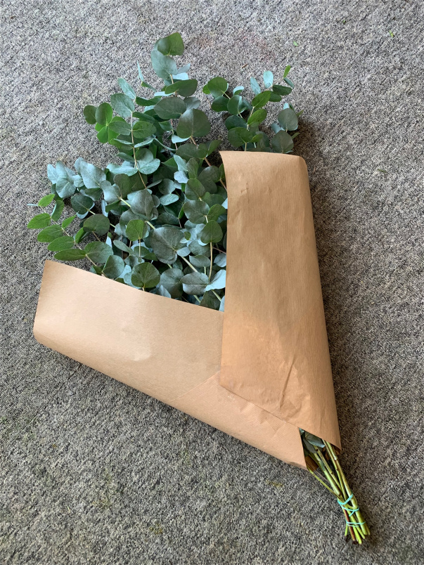 Christmas 2025 | Christmas eucalyptus