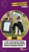 Portsmouth University Graduation Flowers | Edna’s Woofology