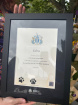 Portsmouth University Graduation Flowers | Edna’s Woofology