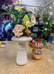 Portsmouth University Graduation Flowers | Amazing mushroom